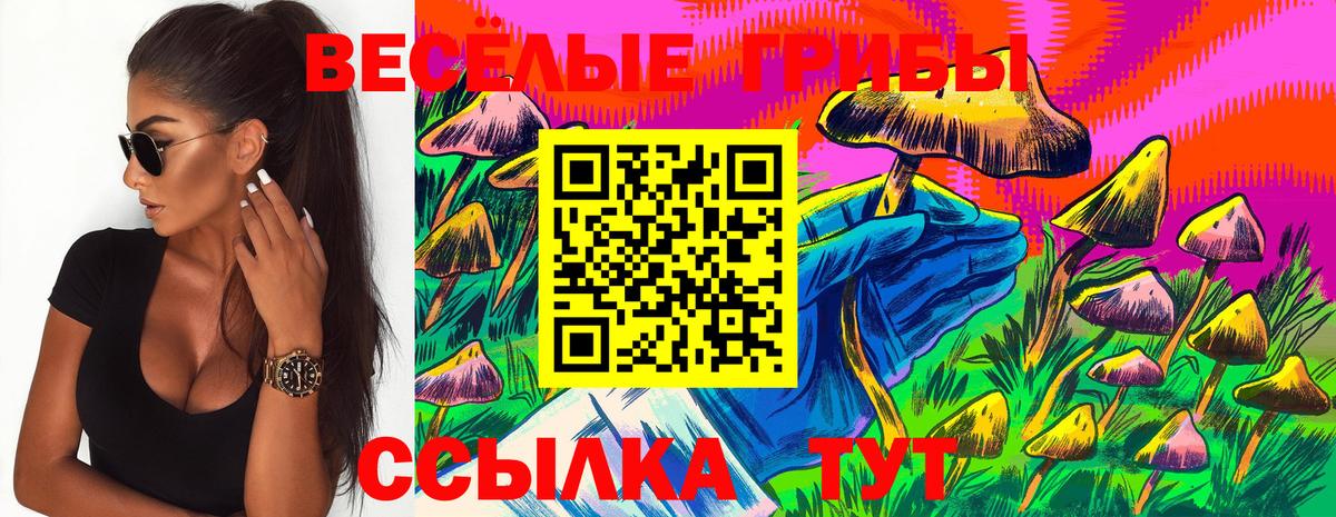 Псилоцибиновые грибы мухоморы  Вход с VPN  Качканар 