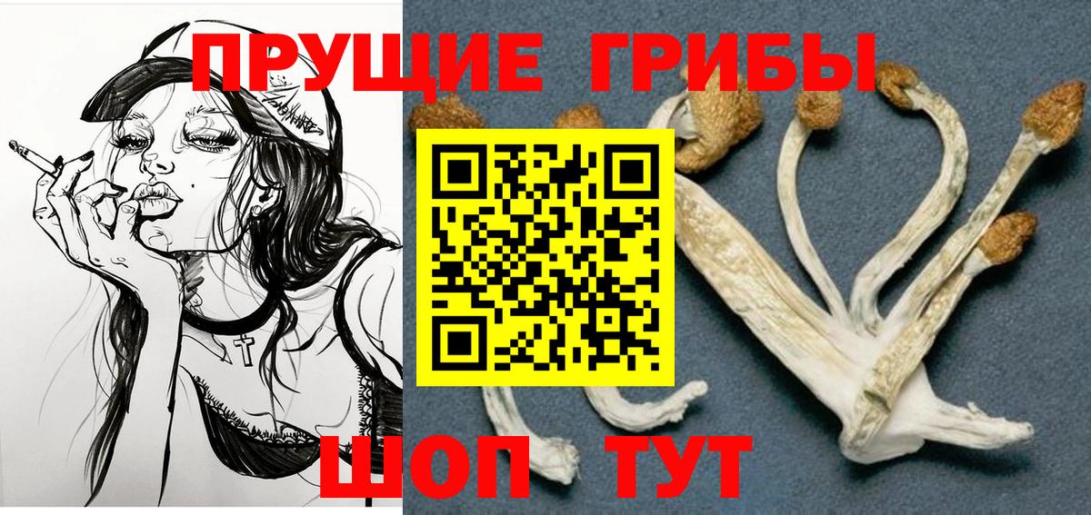 Псилоцибиновые грибы Magic Shrooms Качканар